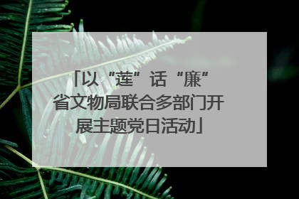 以“莲”话“廉” 省文物局联合多部门开展主题党日活动