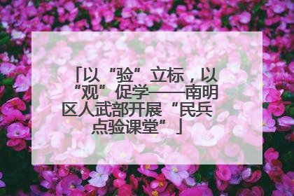 以“验”立标，以“观”促学——南明区人武部开展“民兵点验课堂”