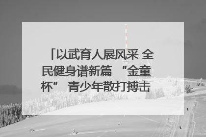 以武育人展风采 全民健身谱新篇 “金童杯” 青少年散打搏击邀请赛圆满落幕
