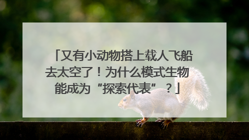 又有小动物搭上载人飞船去太空了！为什么模式生物能成为“探索代表”？