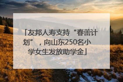 友邦人寿支持“春蕾计划”，向山东250名小学女生发放助学金