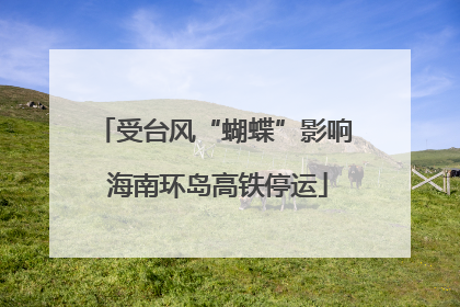 受台风“蝴蝶”影响 海南环岛高铁停运