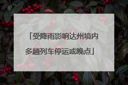 受降雨影响达州境内多趟列车停运或晚点