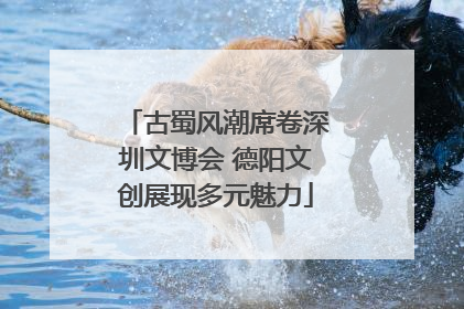 古蜀风潮席卷深圳文博会 德阳文创展现多元魅力