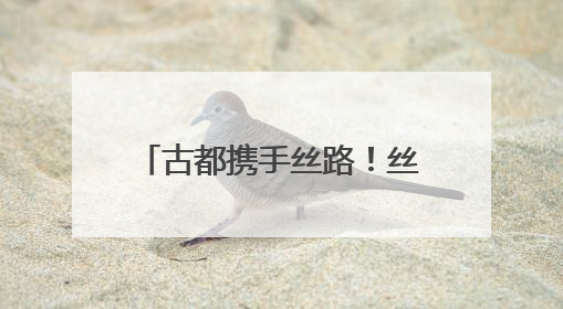 古都携手丝路！丝博会绽放新活力