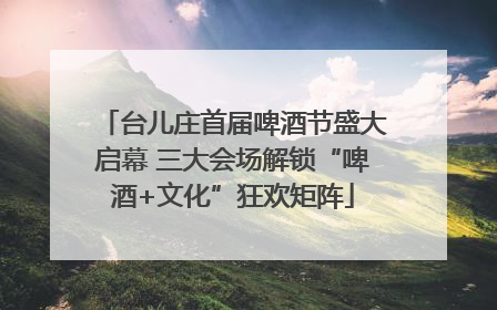 台儿庄首届啤酒节盛大启幕 三大会场解锁“啤酒+文化”狂欢矩阵