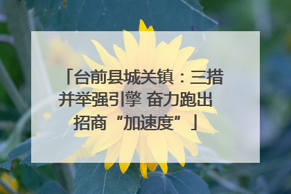台前县城关镇：三措并举强引擎 奋力跑出招商“加速度”