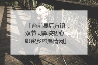 台前县后方镇：双节同辉映初心 织密乡村温情网