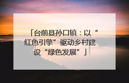 台前县孙口镇：以“红色引擎”驱动乡村建设“绿色发展”