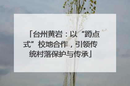 台州黄岩：以“蹲点式”校地合作，引领传统村落保护与传承
