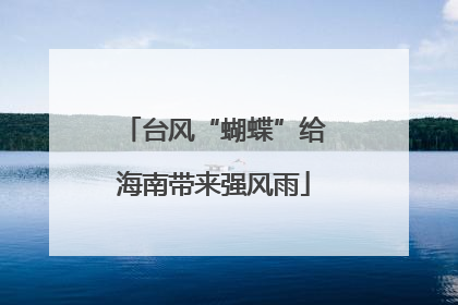 台风“蝴蝶”给海南带来强风雨