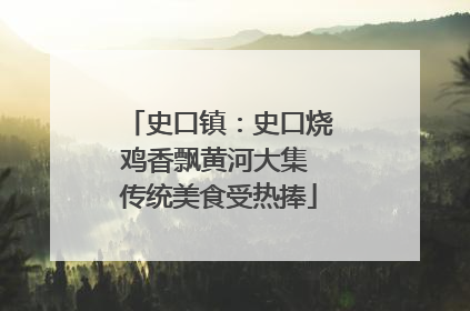 史口镇：史口烧鸡香飘黄河大集 传统美食受热捧