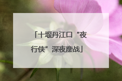 十堰丹江口“夜行侠”深夜鏖战