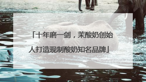 十年磨一剑，茉酸奶创始人打造现制酸奶知名品牌