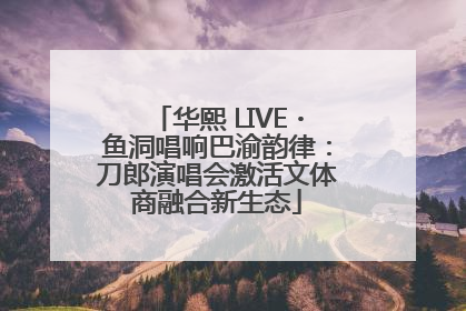 华熙 LIVE・鱼洞唱响巴渝韵律：刀郎演唱会激活文体商融合新生态