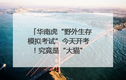 华南虎“野外生存模拟考试”今天开考！究竟是“大猫” 还是顶级猎食者？