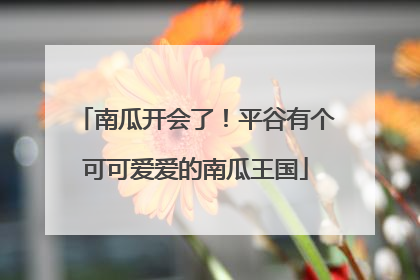 南瓜开会了！平谷有个可可爱爱的南瓜王国