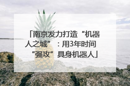 南京发力打造“机器人之城”：用3年时间“强攻”具身机器人