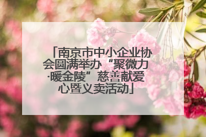 南京市中小企业协会圆满举办“聚微力·暖金陵”慈善献爱心暨义卖活动