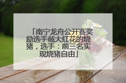 南宁龙舟公开赛奖励选手戴大红花的烧猪，选手：前三名实现烧猪自由