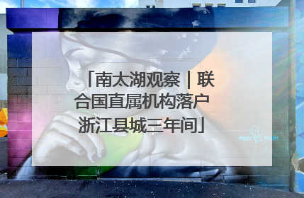南太湖观察｜联合国直属机构落户浙江县城三年间