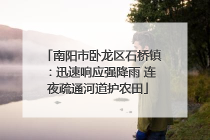 南阳市卧龙区石桥镇：迅速响应强降雨 连夜疏通河道护农田