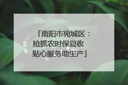 南阳市宛城区：抢抓农时保夏收 贴心服务助生产