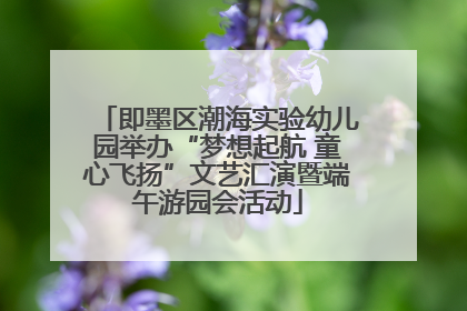 即墨区潮海实验幼儿园举办“梦想起航 童心飞扬”文艺汇演暨端午游园会活动