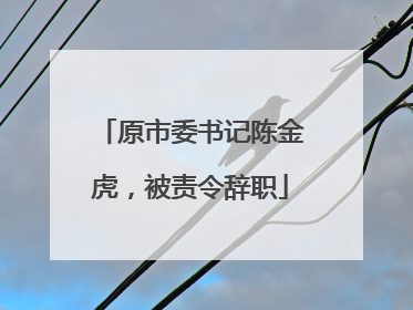 原市委书记陈金虎，被责令辞职