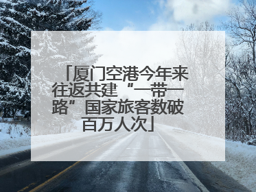 厦门空港今年来往返共建“一带一路”国家旅客数破百万人次