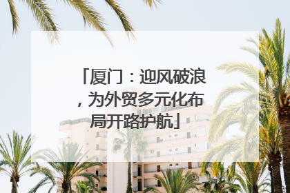 厦门：迎风破浪，为外贸多元化布局开路护航