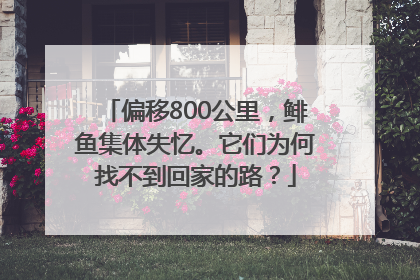 偏移800公里，鲱鱼集体失忆。它们为何找不到回家的路？
