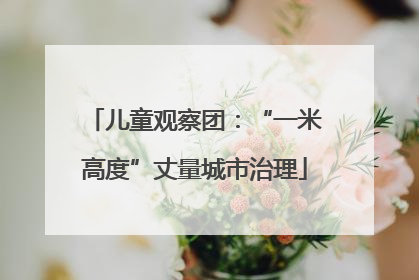 儿童观察团：“一米高度”丈量城市治理