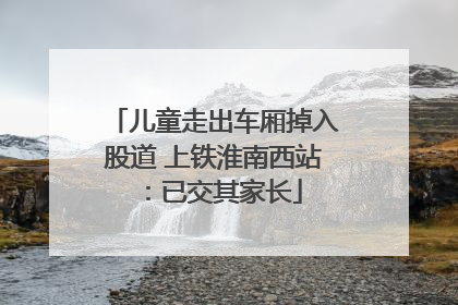 儿童走出车厢掉入股道 上铁淮南西站：已交其家长