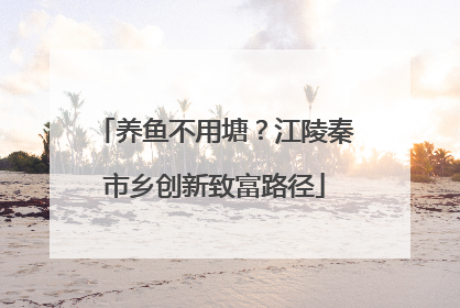 养鱼不用塘？江陵秦市乡创新致富路径