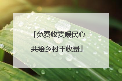 免费收麦暖民心 共绘乡村丰收景
