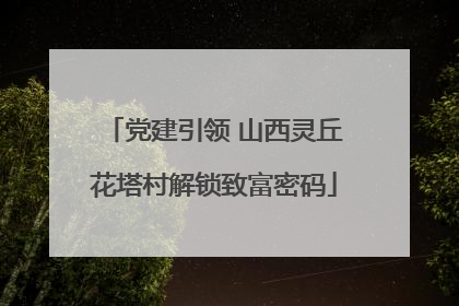 党建引领 山西灵丘花塔村解锁致富密码