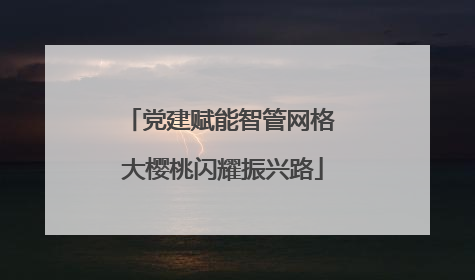 党建赋能智管网格 大樱桃闪耀振兴路