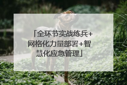 全环节实战练兵+网格化力量部署+智慧化应急管理