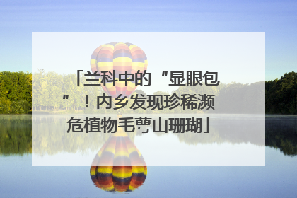 兰科中的“显眼包”！内乡发现珍稀濒危植物毛萼山珊瑚