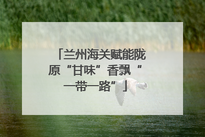 兰州海关赋能陇原“甘味”香飘“一带一路”