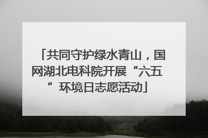 共同守护绿水青山，国网湖北电科院开展“六五”环境日志愿活动