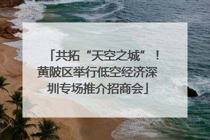共拓“天空之城”！黄陂区举行低空经济深圳专场推介招商会