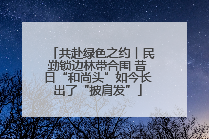 共赴绿色之约丨民勤锁边林带合围 昔日“和尚头”如今长出了“披肩发”
