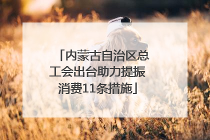 内蒙古自治区总工会出台助力提振消费11条措施