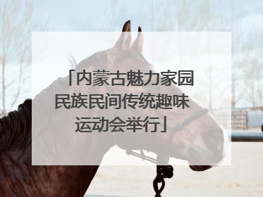 内蒙古魅力家园民族民间传统趣味运动会举行