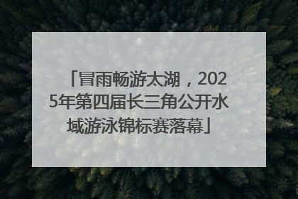 冒雨畅游太湖，2025年第四届长三角公开水域游泳锦标赛落幕