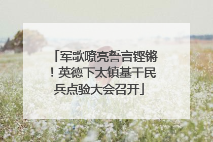军歌嘹亮誓言铿锵！英德下太镇基干民兵点验大会召开