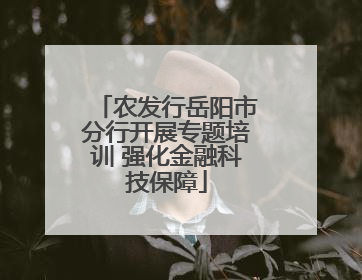农发行岳阳市分行开展专题培训 强化金融科技保障