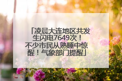 凌晨大连地区共发生闪电7649次！不少市民从熟睡中惊醒！气象部门提醒